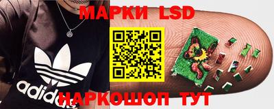 apvp Тулун