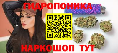 apvp Тулун
