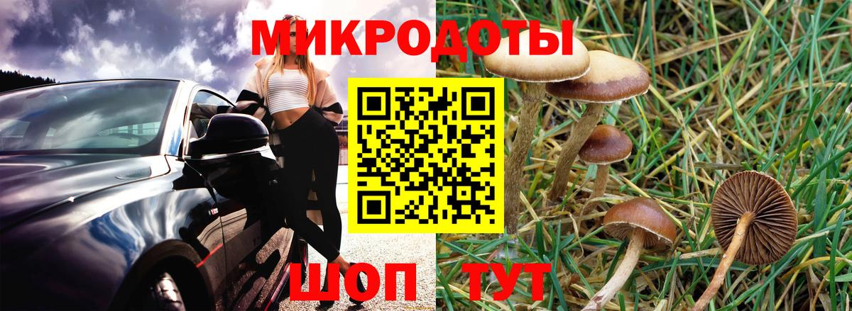 Набережные Челны  Галлюциногенные грибы Psilocybe  сколько стоит  Вход с VPN 